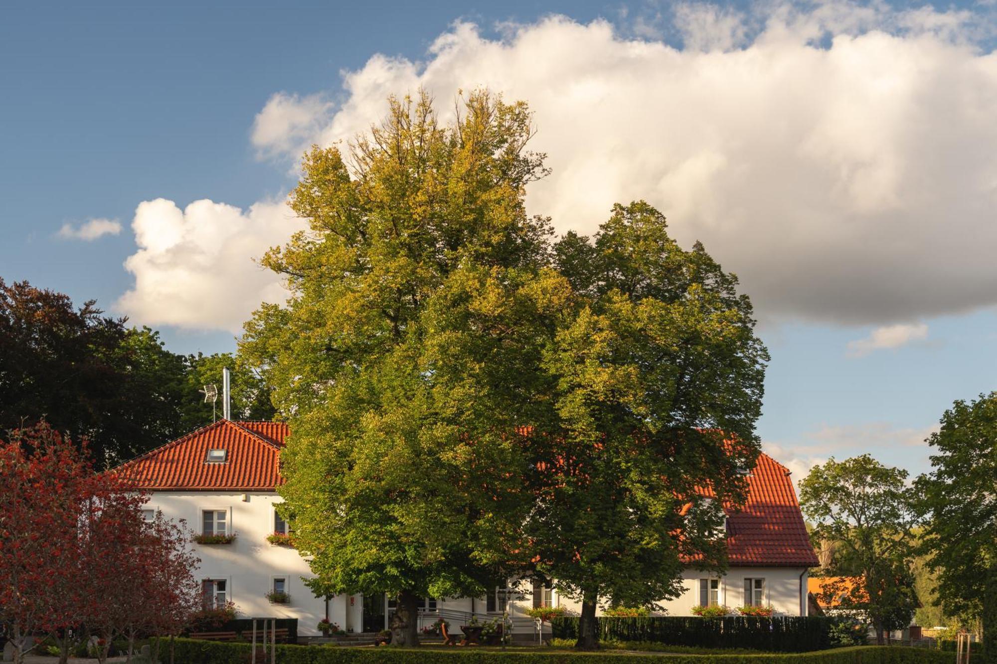 Stary Mlyn Strzeszyn Hotel Lubowo  Buitenkant foto